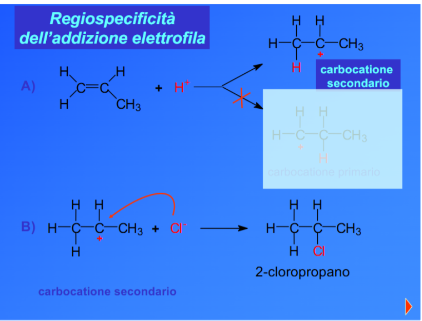 <p>Il nuclofilo (Cl-) si aggiunge al carbocatione secondario, perché è più stabile. L’elettrofilo (H<sup>+</sup>) si lega al carbocatione primario, perché è legato al maggior numero di H.</p>