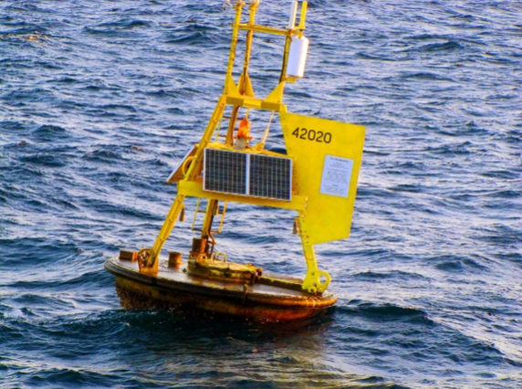 <p>Measures wave height, period, and direction.</p><p>Floating buoys are equipped with accelerometers and GPS to record their vertical and horizontal movement as waves pass.</p><p>Used in monitoring storm surges, tsunami detection, and marine navigation safety.</p>