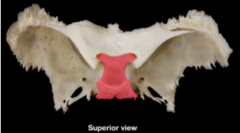 knowt flashcard image