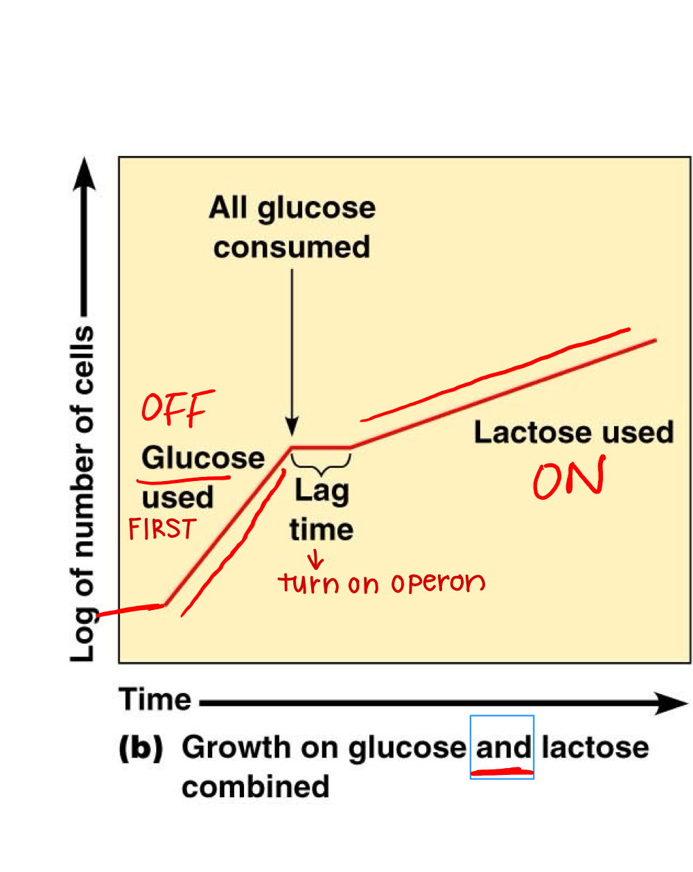 <p>What does this graph represent ?</p>