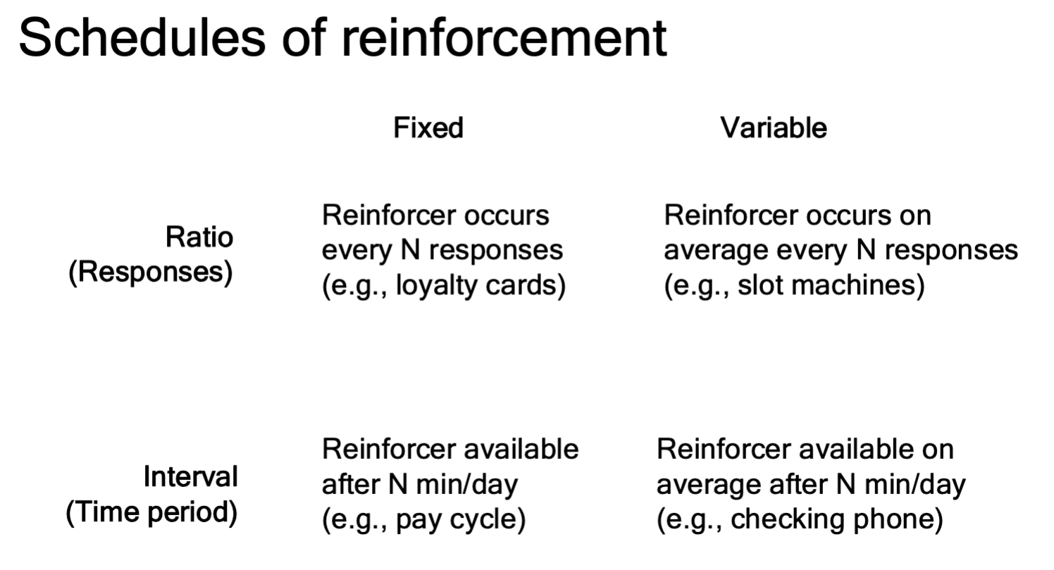 <p>Reinforcement is only available after a specific fixed amount of time.</p>