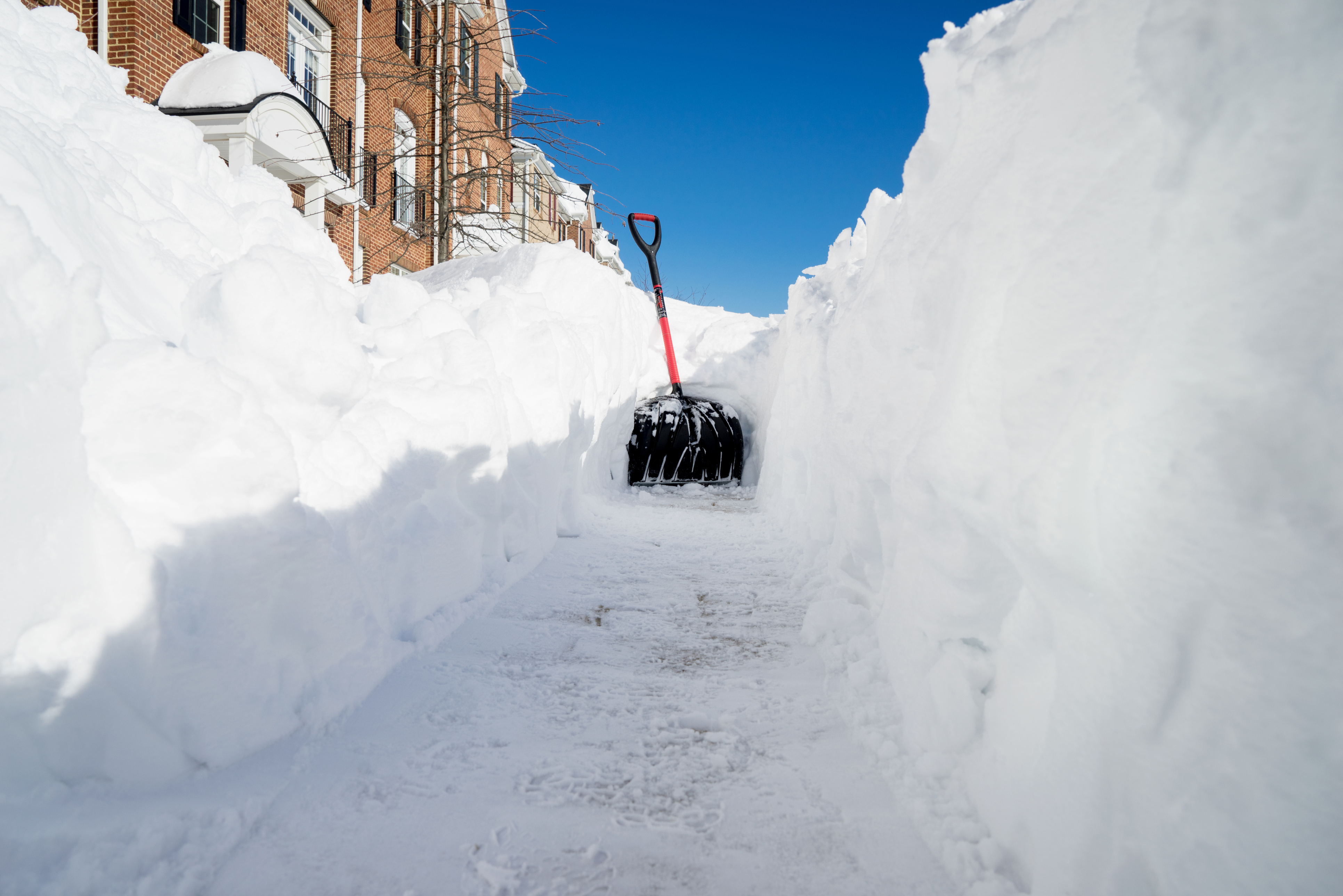 <p>la nieve ___ ser ___ paleada.</p>