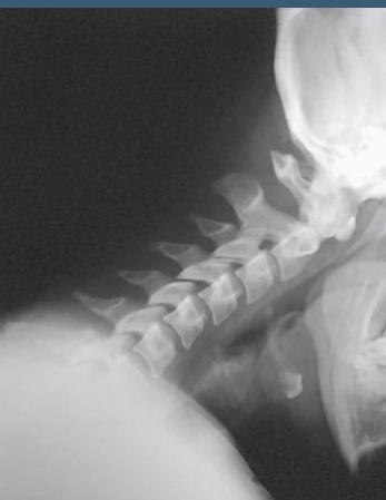 <p>what view is this</p>