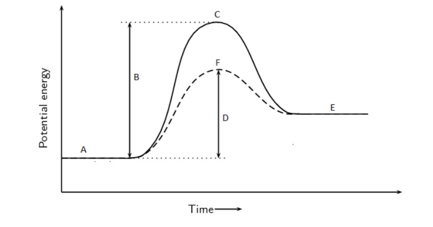 <p>Label parts A to F </p>