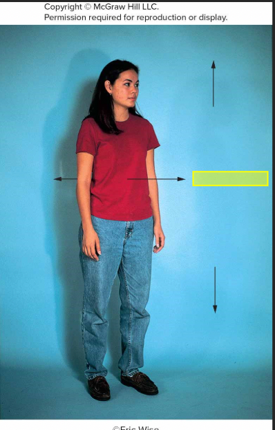 <p>what direction</p>