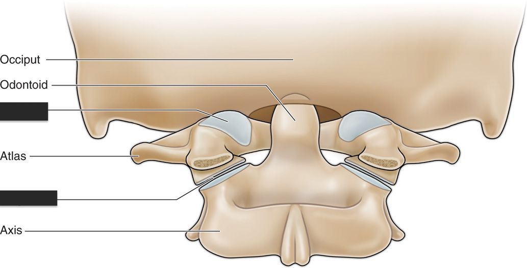<p>label the tagged areas.</p>
