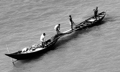 <p>(v, n) chuyển; dời, di chuyển; sự di chuyển, sự dời chỗ</p>