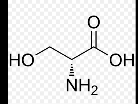 <p>name this amino acid</p>