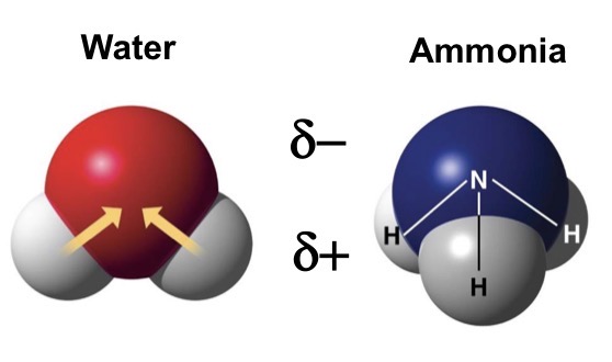 <p>Polar Molecules</p>