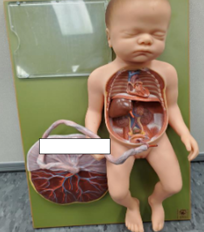 <p>What is this?</p>