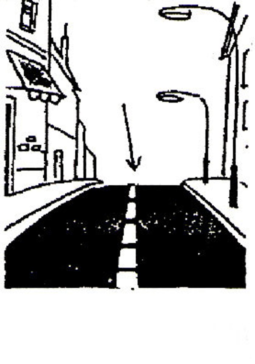<p>la calle</p>
