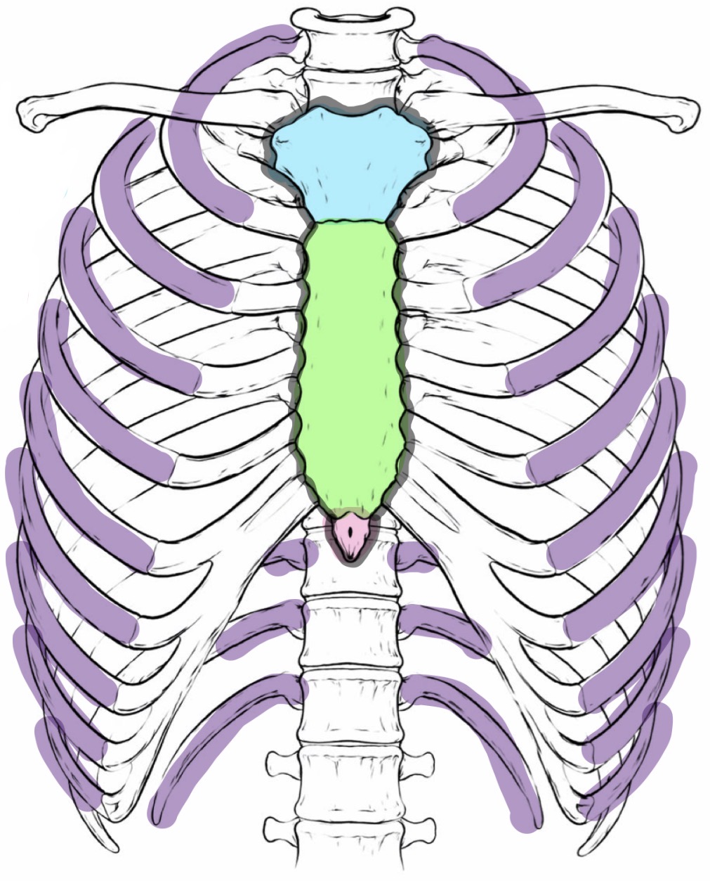 <p>What is the name of this structure?</p>