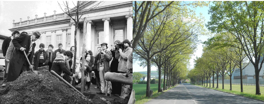 <ul><li><p>oaks → donation money → many still there</p></li><li><p><span>In response to the extensive urbanization of the setting the work was a long-term and large-scale artistic and ecological intervention with the goal of enduringly altering the living space of the city.</span></p></li></ul><p></p>