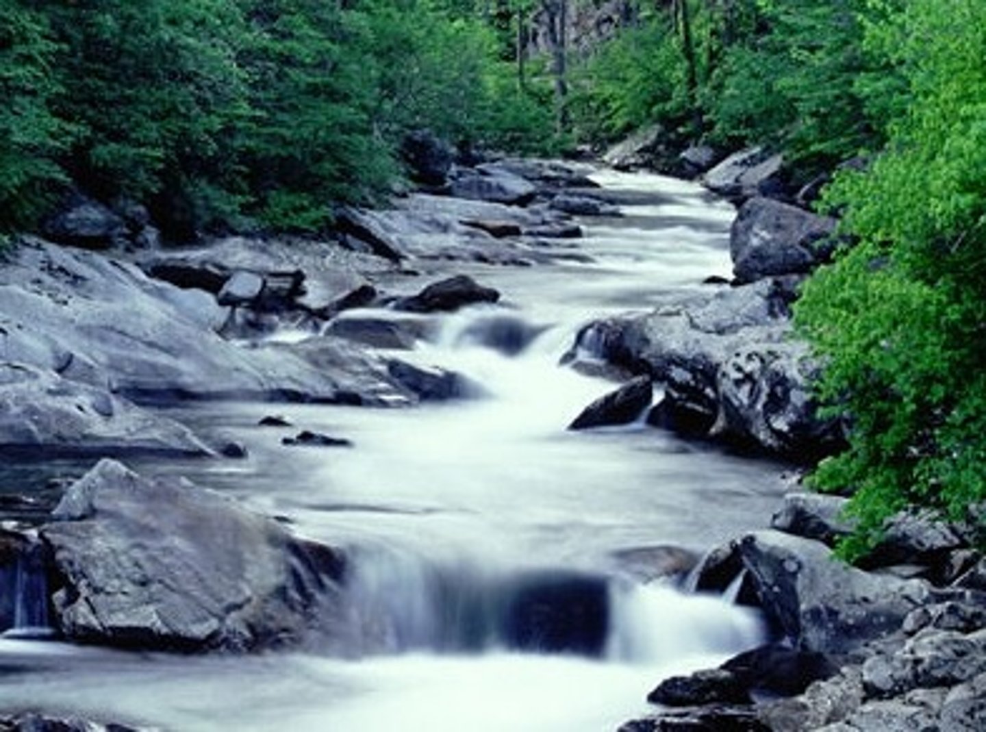 <p>lleva agua</p>