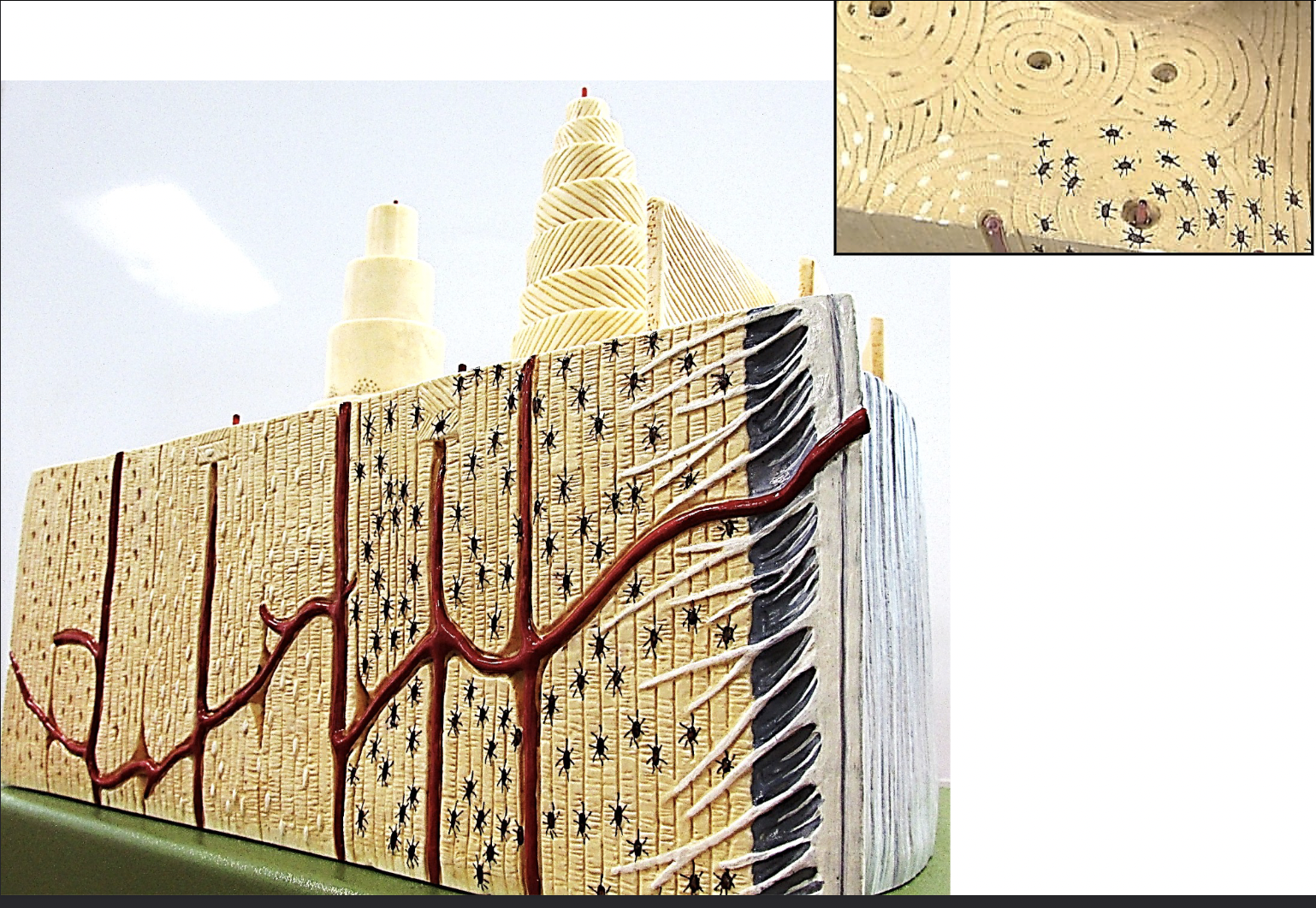 <p>What is holding the wall together</p>