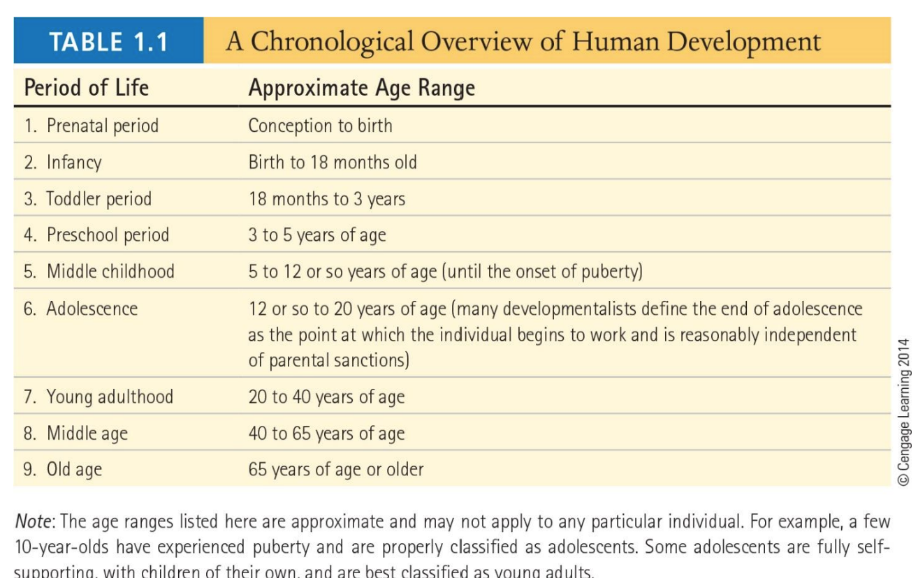 <p>Chronology of Development</p>