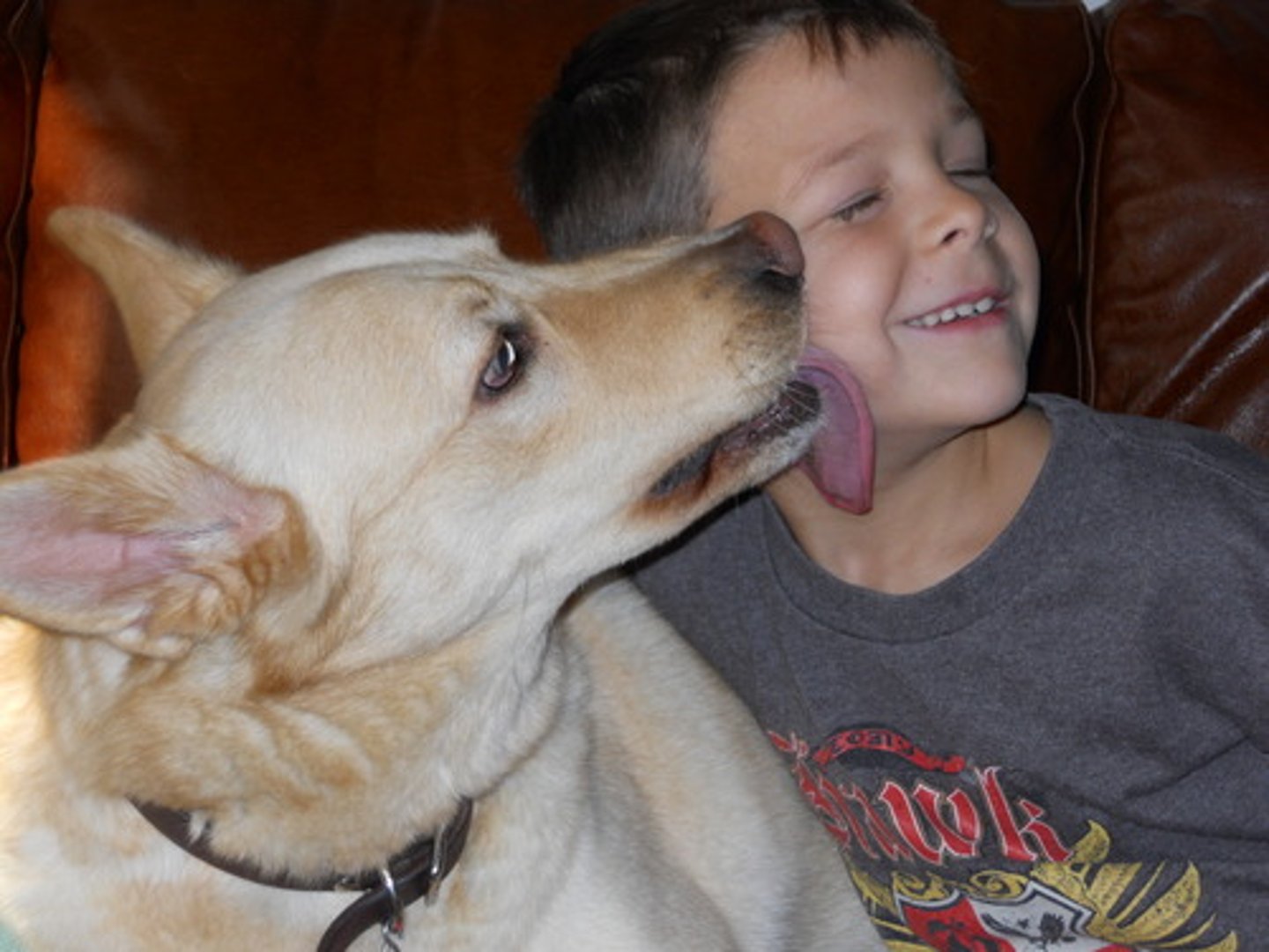 <p>TRANSLATION: безусловная любовь и дружеское общение</p><p>DEFINITION: complete affection and friendly presence without any requirements</p><p>EXAMPLE: Shelter pets offer ........................ to people who feel lonely. Питомцы из приюта дарят БЕЗУСЛОВНУЮ ЛЮБОВЬ И ДРУЖЕСКОЕ ОБЩЕНИЕ людям, которые чувствуют себя одинокими.</p>