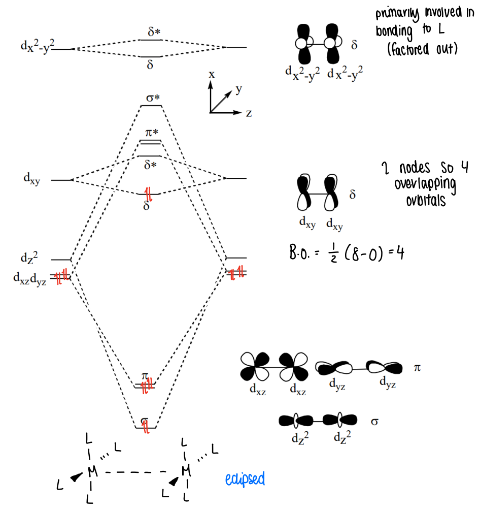 <p>The dz2 orbitals form the sigma bonds, the dxz and dyz form pi orbitals, the dxy orbitals form delta bonds (they have 2 nodes, so have 4 overlapping orbitals). </p><ul><li><p>The dx2-y2 orbitals are primarily involved in bonding to ligands.</p></li></ul><p></p>