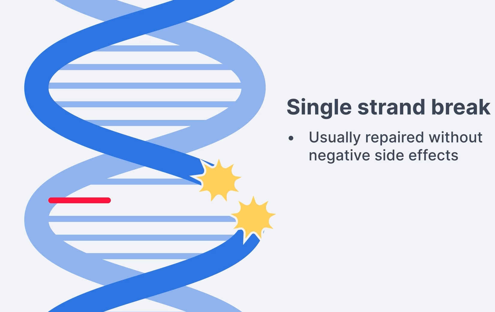 <p>Single Strand Break</p>