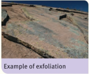 <ul><li><p>Physical Weathering</p></li><li><p>When rocks weather by peeling off in sheets rather than breaking up into small pieces of gravel</p></li><li><p>This can happen in thin layers on large rocks</p></li></ul><p></p>