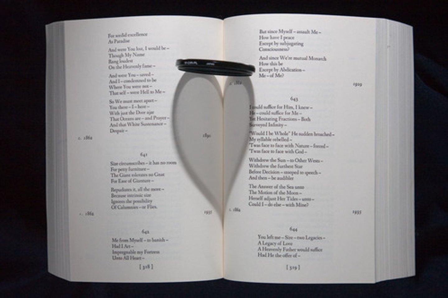 <p>to write poems</p>