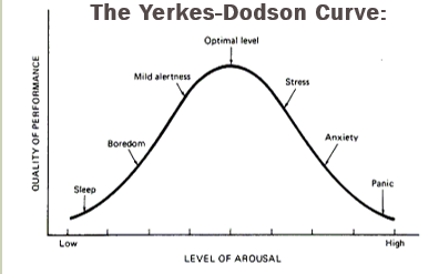 <p>yerkes dodson curve</p>