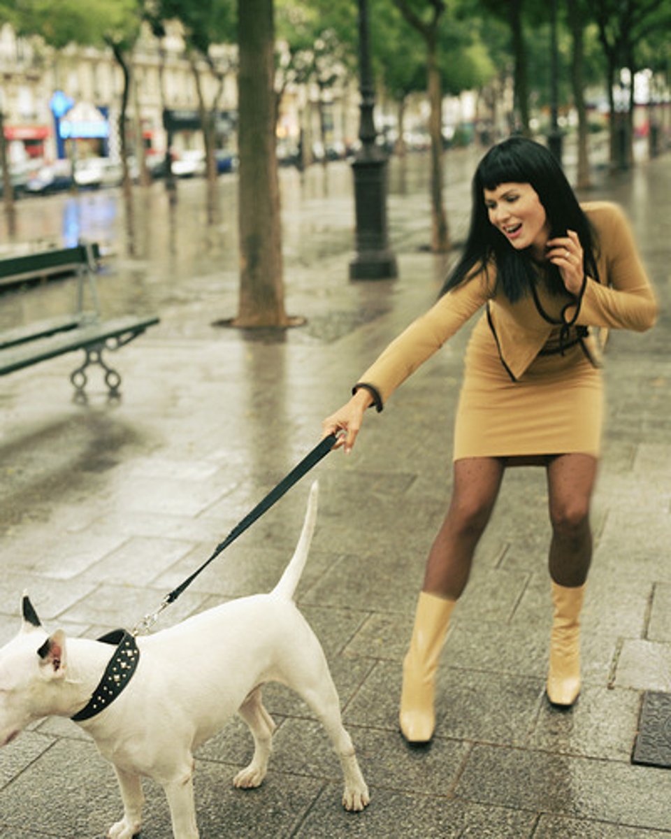<p>Tú ___________ (tener que) caminar con el perro.</p>