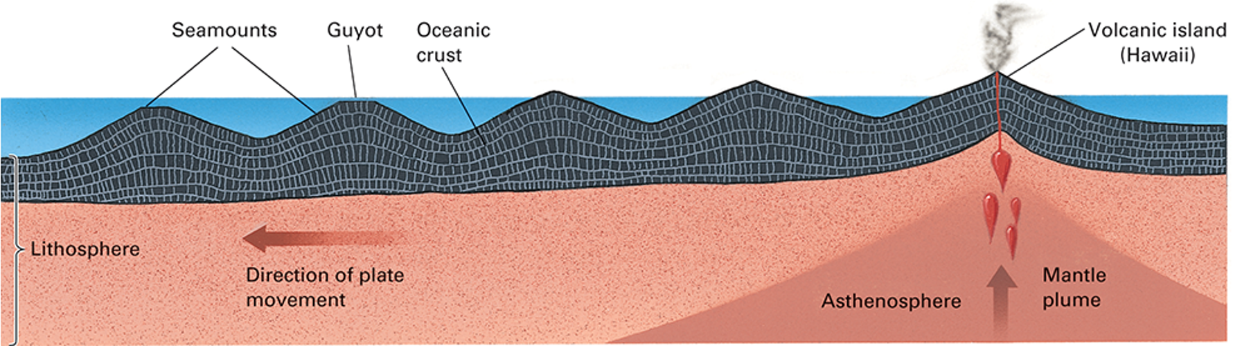 <p>what is happening in this photo?</p>