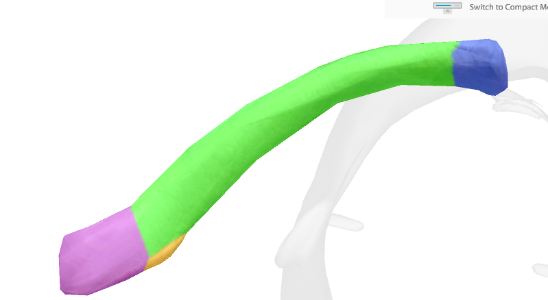 <p>between green and purple</p>