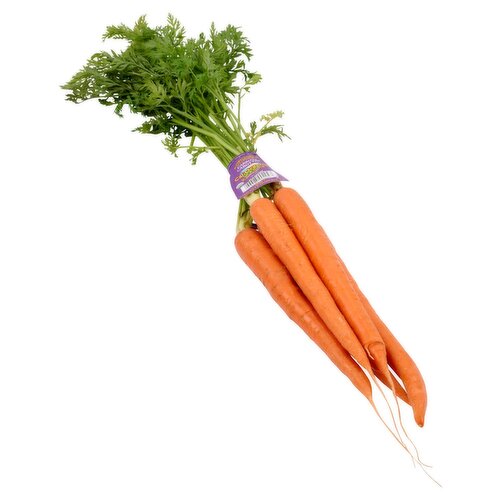 <p>Bunch carrots</p>