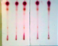 <ul><li><p>Confirmatory Test</p></li><li><p>Components spread out in plate as the solvent travels</p></li><li><p>Chromatography occurs and visualizing agent along the THC standard is used for confirmation</p></li><li><p>Rf calculated</p></li></ul><p></p>