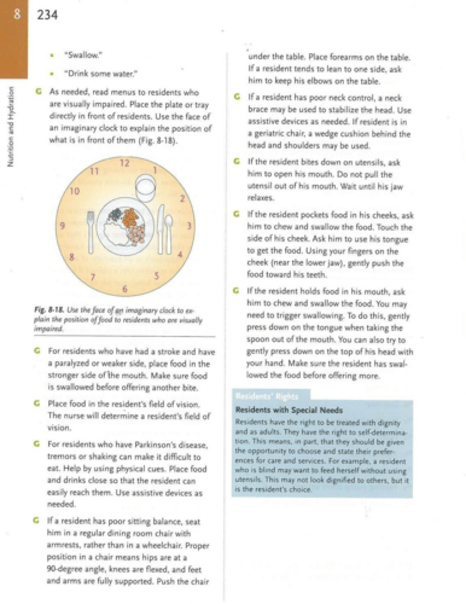 <p>Use the face of an imaginary clock to describe food positions.</p>