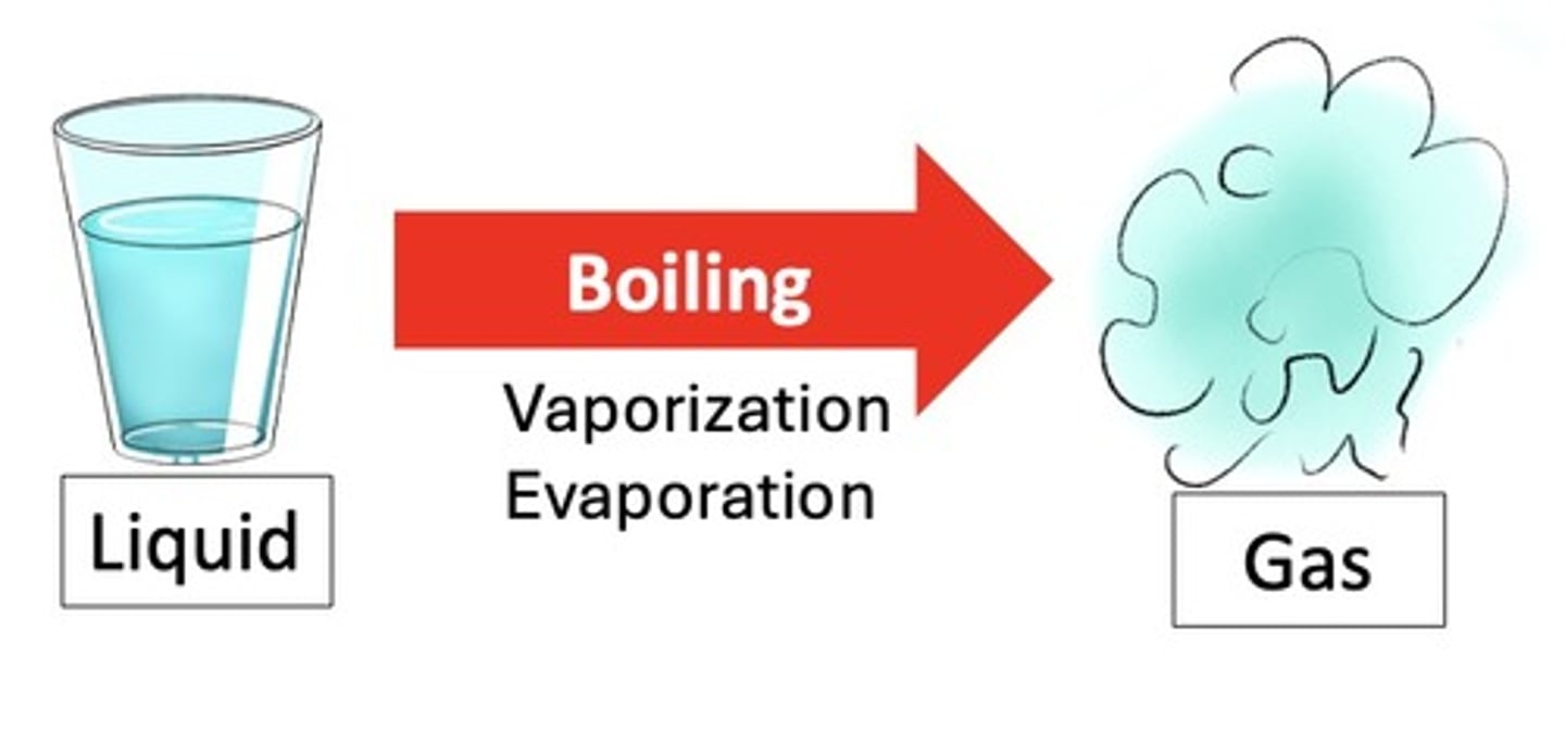 <p>When liquid turns to gas, the TEAS might call it: boiling, vaporization, or evaporation. (Know all three terms)</p>