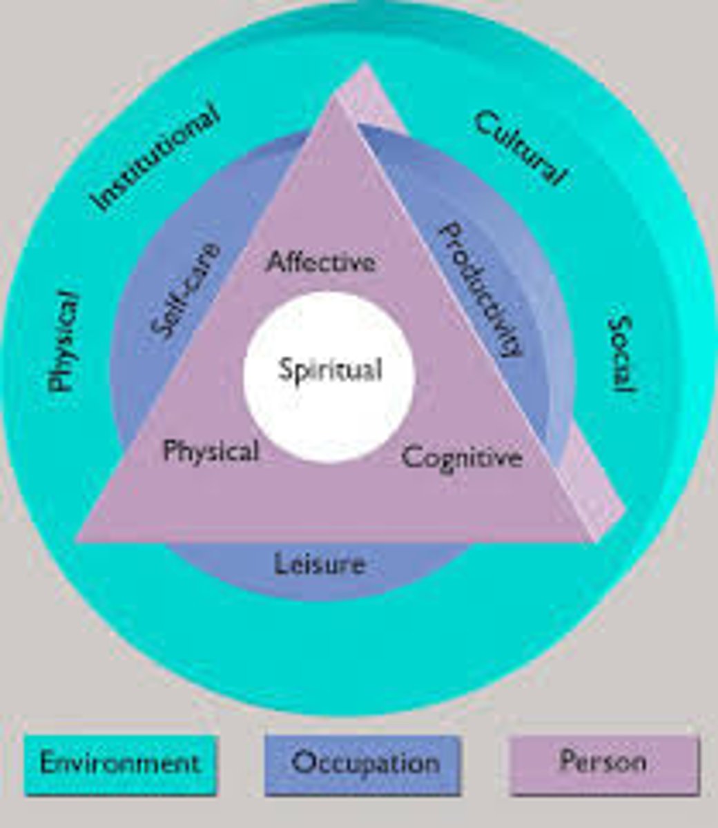 <p>client-centered goal setting, occupational engagement, environmental modification, skill development and training, cognitive and psychological support, promotion of self-management and advoacy</p>
