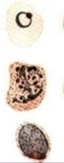 <p>What are these examples of </p>