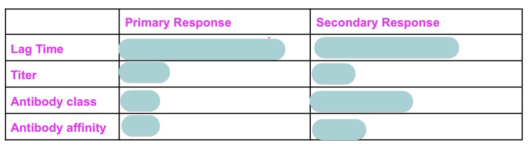 <p>Compare + contrast primary vs secondary Ab response + why different using response to virus/bac as an example for each</p>