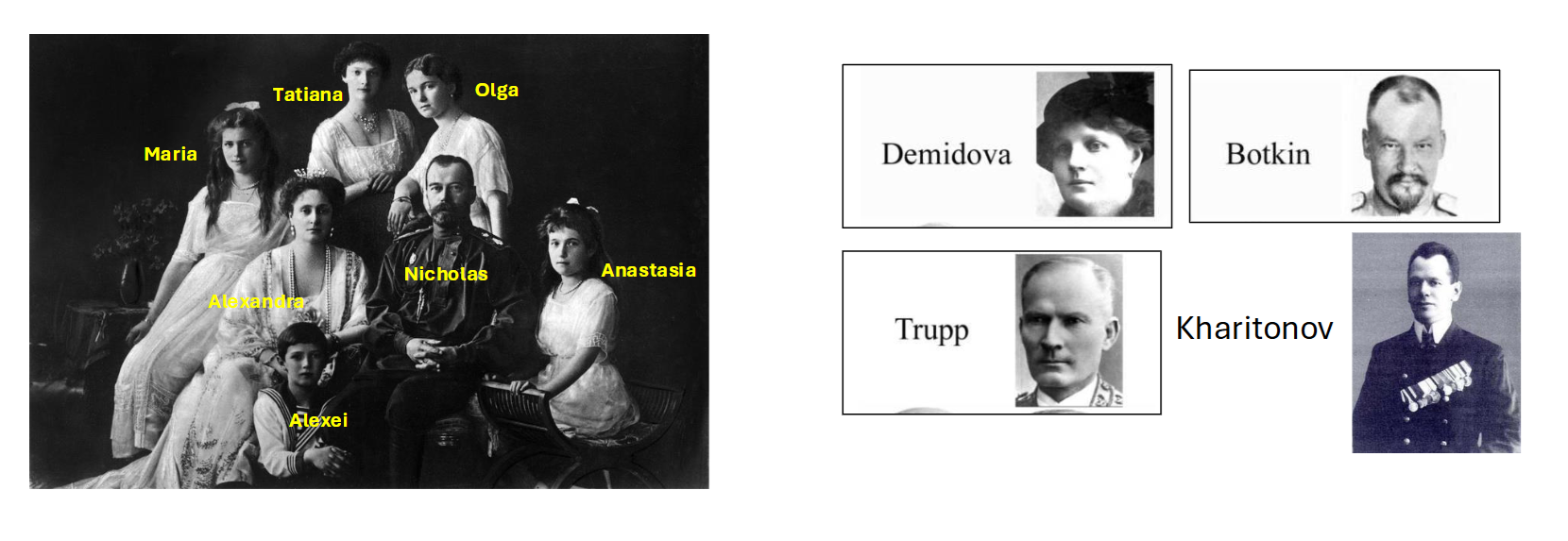 <ul><li><p>In the 90s, researchers also conducted mtDNA tests to prove the relatedness of the bodies</p></li><li><p>Confirmed genetic sex and familial relationship between the mother and children</p></li><li><p>Using living descendants, there’s a 99% probability that the skeletons belong to the Romanov family</p></li><li><p>In 2007, a small pit 70 m away from Grave 1 was found</p></li><li><p>Contained the remains of 2 individuals: 1 male and 1 female</p><ul><li><p>DNA tests confirmed they were related to the Romanovs</p></li></ul></li><li><p>Alexei and Maria/Anastasia</p><ul><li><p>Can’t confirm which</p></li></ul></li><li><p>Forensic work was able to:</p><ul><li><p>Successfully identify remains through contextualized biological profiles</p></li><li><p>Confirm parts of the narrative about trauma (bullets vs. bayonets</p></li></ul></li></ul><p></p>