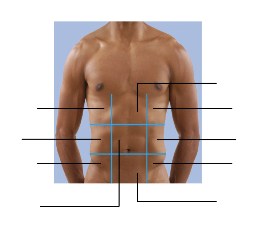<p>what region is the lower left?</p>