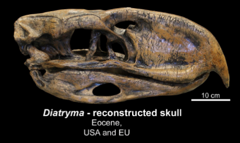 <ul><li><p>eocene</p></li><li><p>USA and EU</p></li></ul><p></p>