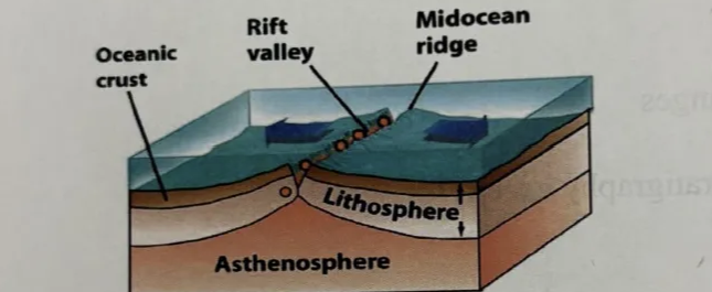 <p>this diagram represents </p><p>a. subduction zone boundary </p><p>b. transform plate boundary </p><p>c. divergent plate boundary </p><p>d. convergent plate boundary</p>