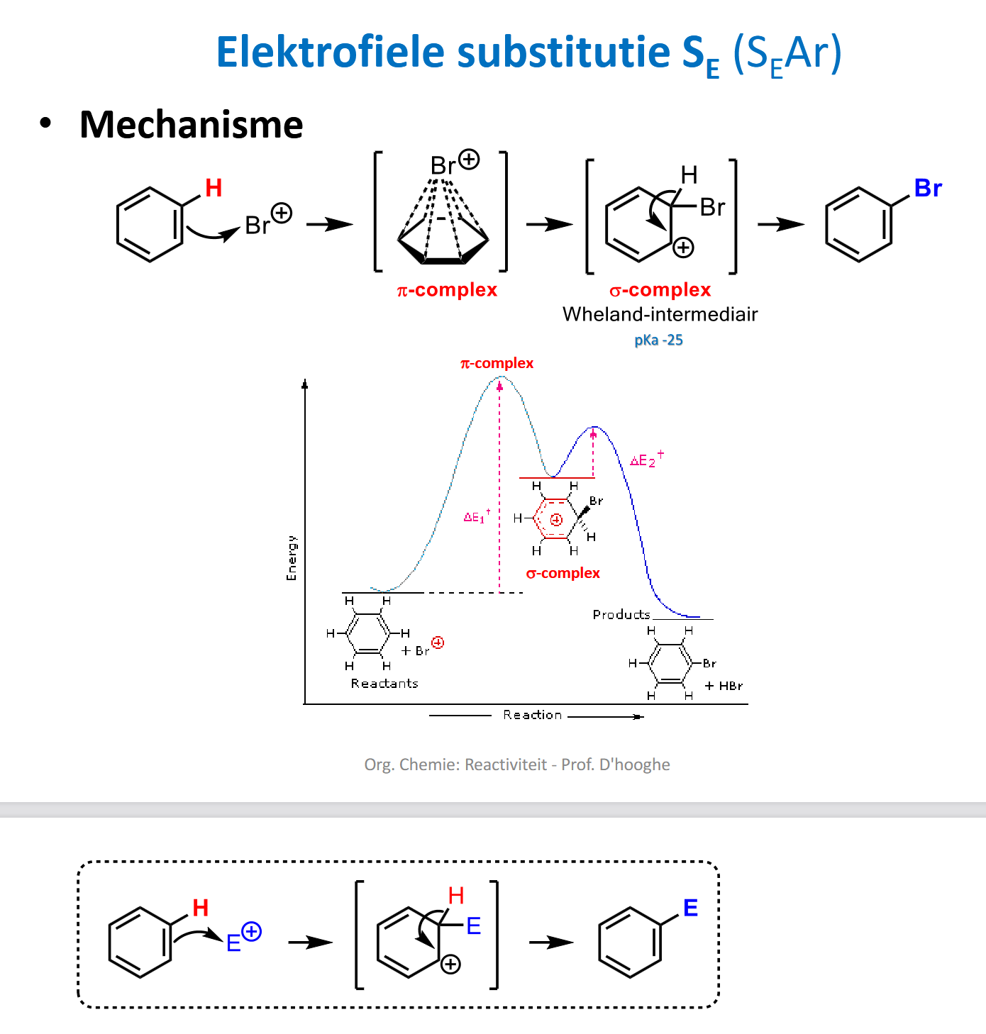 <p>p30</p><p><strong>algemeen</strong></p><ul><li><p>pi-complex (intermediair): alle 6 de pi-elektronen in interactie met Br+ → aromaticiteit gaat verloren + is hoog energetisch → dit intermediair maken kost dus veel energie</p></li><li><p>sigma-complex: H+ gaat er spontaan uit → want zo herstel van aromaticiteit + is zuur ofziets</p></li></ul><p>E(+) moet heel sterk elektrofiel zijn! (dus uitgesproken positief)</p><p></p><p><span><strong>Belangrijkste SE-reacties</strong></span><br><span>– Halogenering (Cl2/AlCl3 of Br2/FeBr3): <strong>X+ (Cl+ of Br+)</strong></span><br><span>– Friedel-Crafts-alkylering (RCl/AlCl3): <strong>R+</strong></span><br><span>– Friedel-Crafts-acylering (RCOCl/AlCl3): <strong>RCO+</strong></span><br><span>– Sulfonering (SO3/H2SO4): <strong>HSO3+</strong></span><br><span>– Nitrering (HNO3/H2SO4): <strong>NO2+</strong></span><br><span>– Diazo-koppeling: <strong>RN2+</strong></span></p>