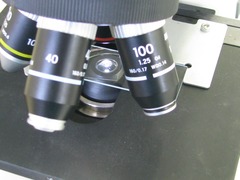 <p>the highest power lens with a magnification of 100x; this lens cannot be used without oil</p>