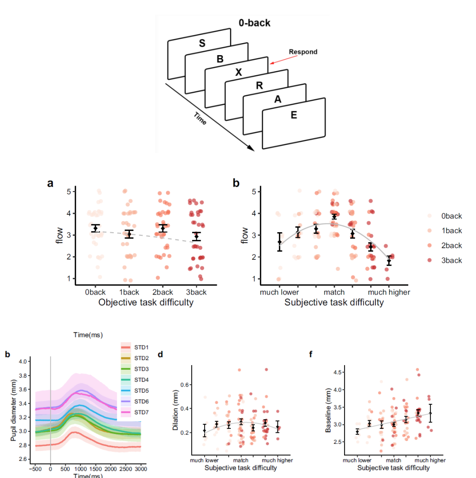 <ul><li><p>Subjective flow is related to subjective task difficulty on the n-back</p><ul><li><p>U-shaped</p></li></ul></li><li><p>Subjective task difficulty is related to <strong>pupil diameter</strong></p></li><li><p>U-shaped</p></li><li><p>Pupil diameter ~ LC-NA tone (proxy) and other factors</p></li></ul><div data-type="horizontalRule"><hr></div><ul><li><p>correlates of noradrenergic are correlated w flow reports</p></li><li><p>pupil diameter associated w subjective reports</p></li><li><p>measured both difficulty + measures associated w "flow”</p></li></ul><p></p>