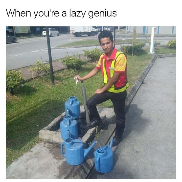 <p>Ingenuity (noun)</p>