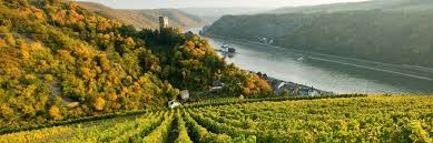 <p>Erzähle was du weißt über die Route der Rheinromantik</p><p></p>