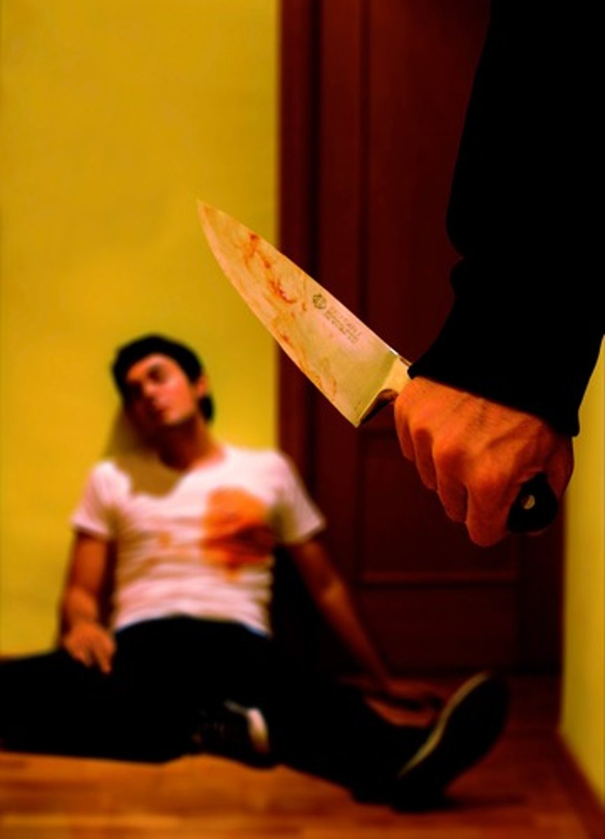 <p>Asesinato</p>
