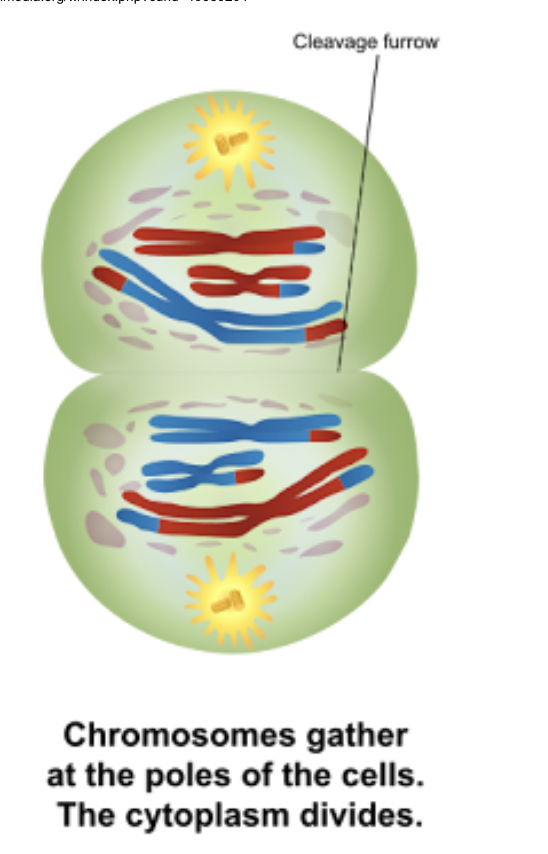 <p><span style="background-color: transparent;">What phase is this?</span></p>