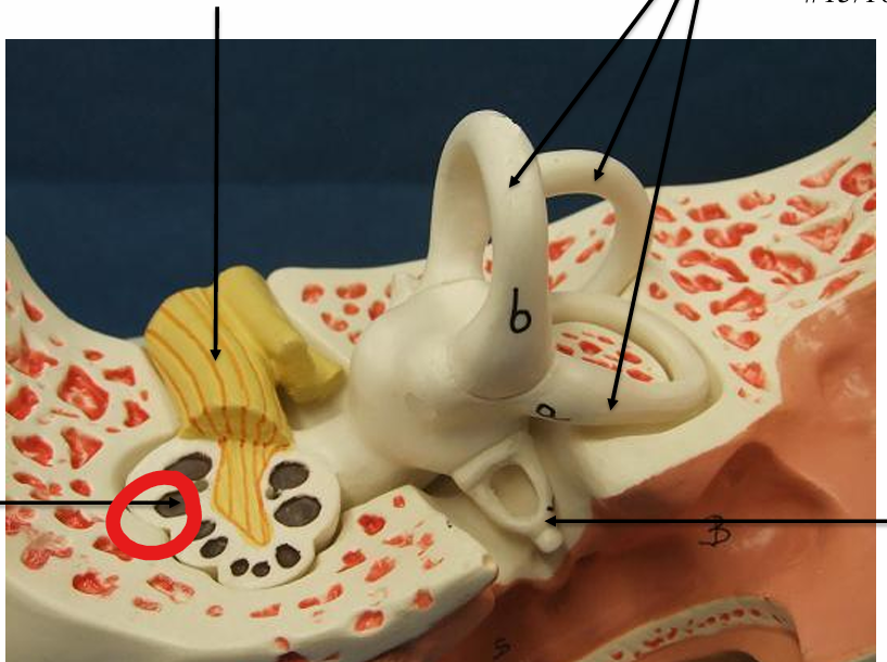 <p>What is this</p>
