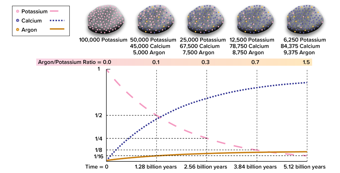 <p>What is the lifespan of a radioactive atom in its half-life?</p>
