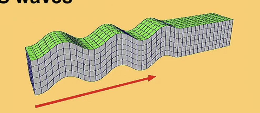 <p>Secondary (S) waves</p>